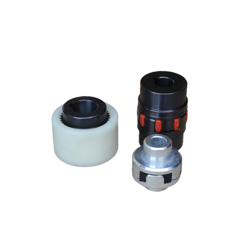 020，040，063，100真(zhēn)空泵聯軸器(qì)